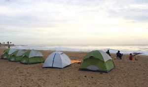 Beach Camping & Night Safari